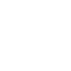 Zenith logo